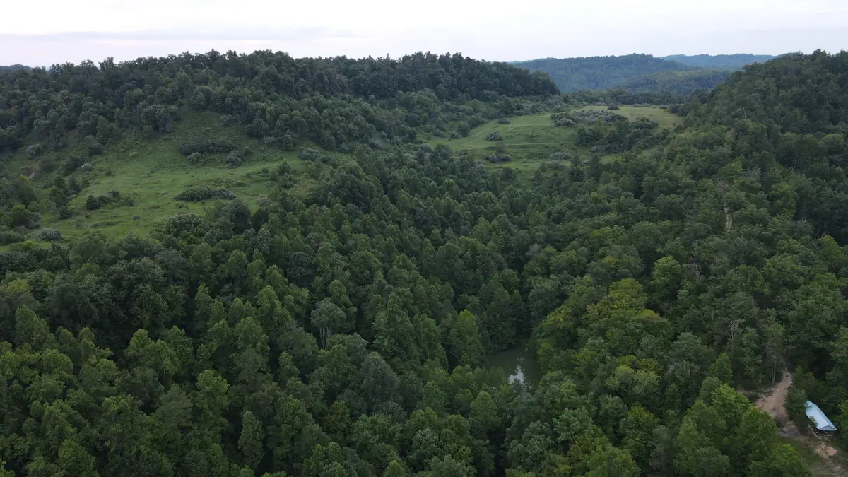 3073 Long Creek Road, Salyersville, KY 41465 - #1