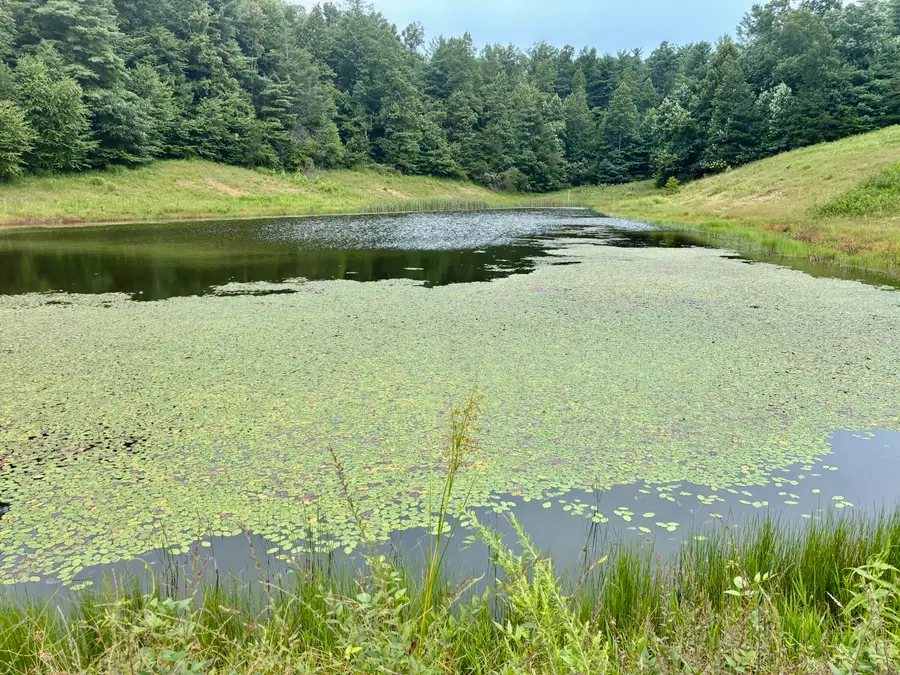 367 Banks Branch Road #2, Campton, KY 41301 - #2