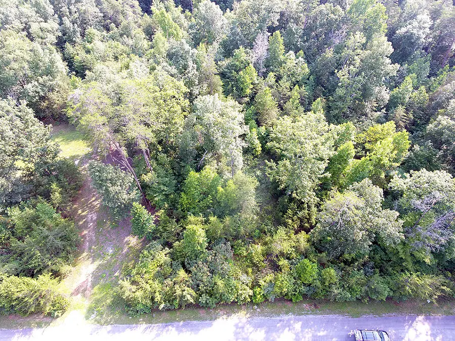 Lot 34 Doc Nichols Landing, Bronston, KY 42518 - #3