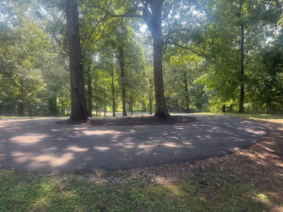490 Red River Road, Gilbertsville, KY 42044 - #3