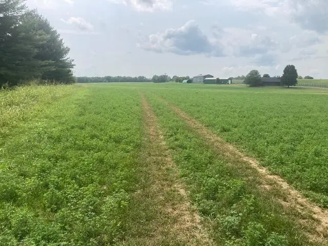 333 Silas Road, Cynthiana, KY 41031 - #1