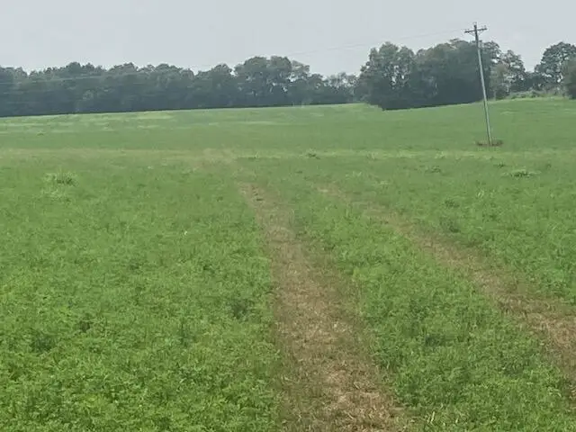 333 Silas Road, Cynthiana, KY 41031 - #2