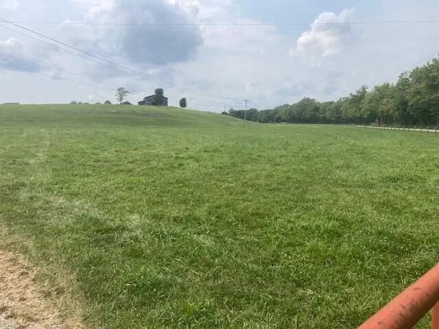 222 Silas Road, Cynthiana, KY 41031 - #2