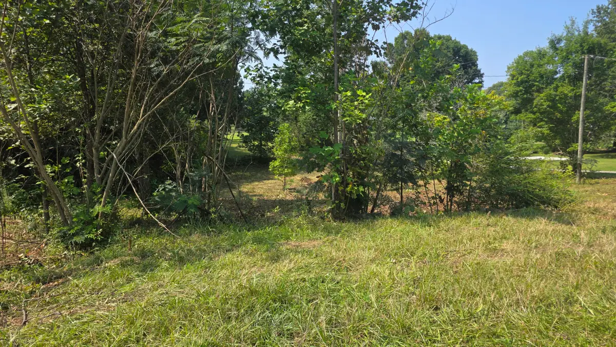 0 Dean King Road #173-40-01-021.01, Pine Knot, KY 42635 - #1