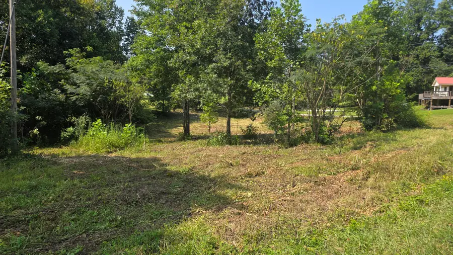 0 Dean King Road #173-40-01-021.01, Pine Knot, KY 42635 - #3