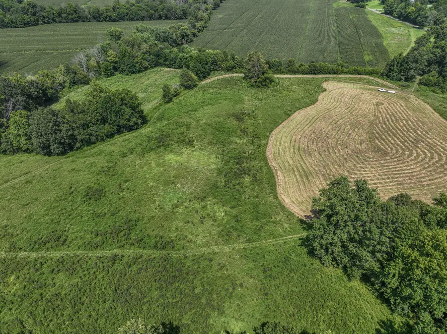 00 Adams Road, Salem, KY 42078 - #3