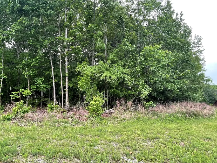 Lot 6 Pelican Way #Lot 6, Cadiz, KY 42211 - #2
