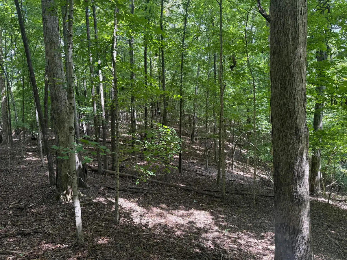 0 Perry Springs Road, Eddyville, KY 42038 - #1