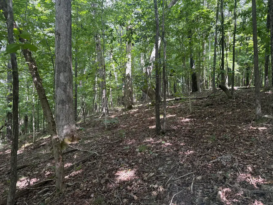 0 Perry Springs Road, Eddyville, KY 42038 - #2