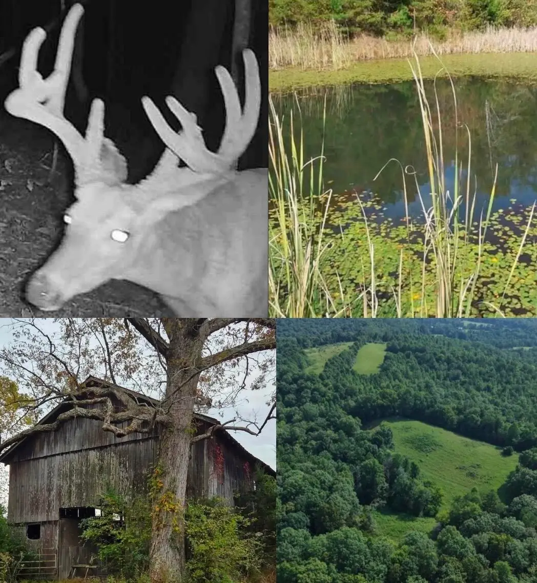 9999 Sinks Road, Somerset, KY 42501 - #1