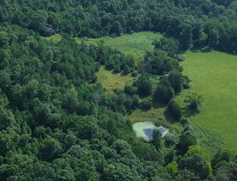9999 Sinks Road, Somerset, KY 42501 - #2