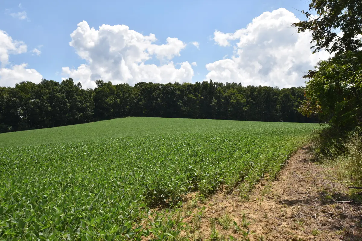 0 Beechy Creek Road, Wallingford, KY 41093 - #1