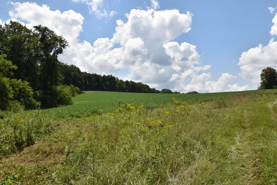 0 Beechy Creek Road, Wallingford, KY 41093 - #2