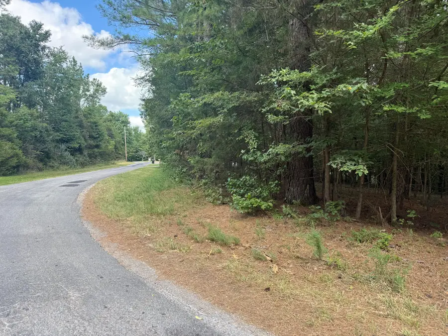 0 Overlook Drive, Cadiz, KY 42211 - #3