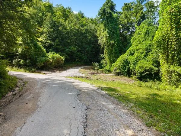 0 Flat Mary Road, Beattyville, KY 41311