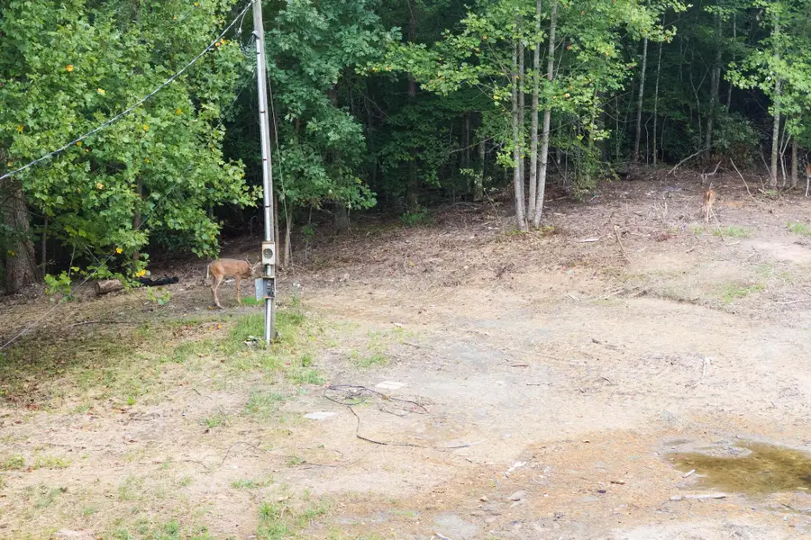 240 Nelson Road, Clay City, KY 40312 - #3