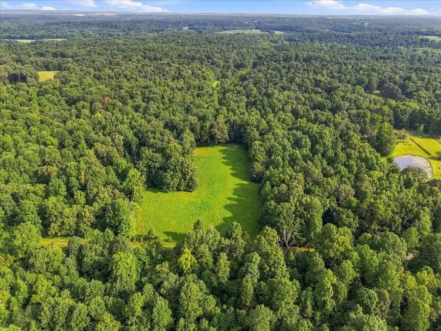 20 Acres Bill Thompson Road, Kuttawa, KY 42055 - #2