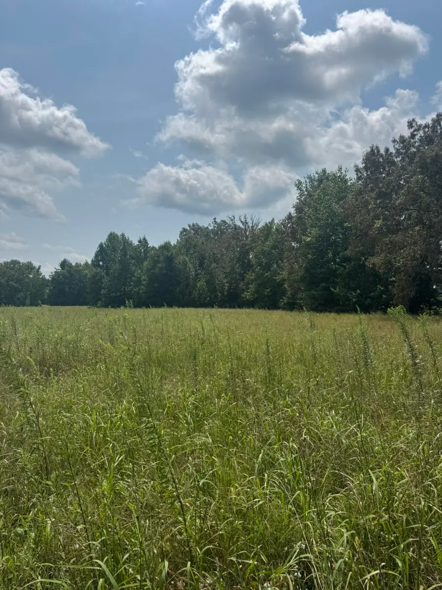 4565 State Highway 76, Russell Springs, KY 42642 - #2