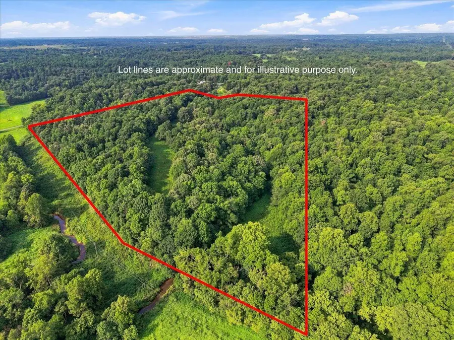 55 Acres Bill Thompson Road, Kuttawa, KY 42055 - #3