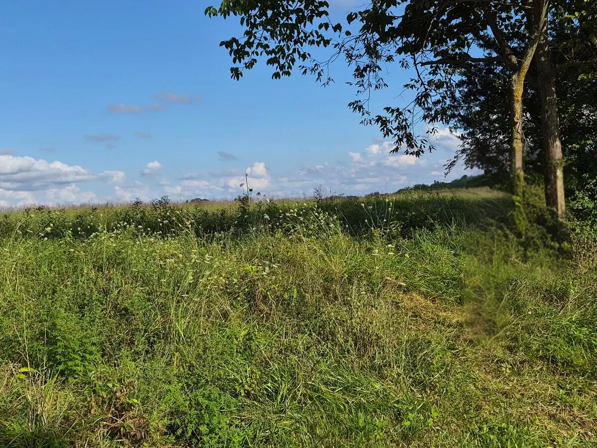 3 Bohannon Road, Pleasureville, KY 40057 - #1