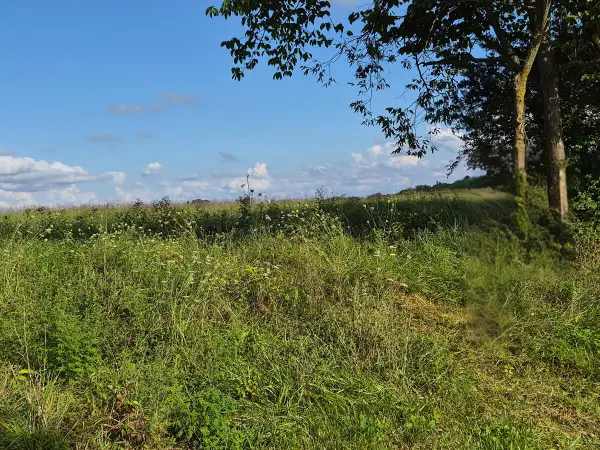 3 Bohannon Road, Pleasureville, KY 40057