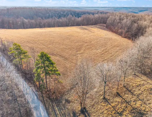 TBD Boone Ridge Road, Garrison, KY 41141