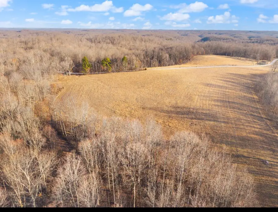 TBD Boone Ridge Road, Garrison, KY 41141 - #2