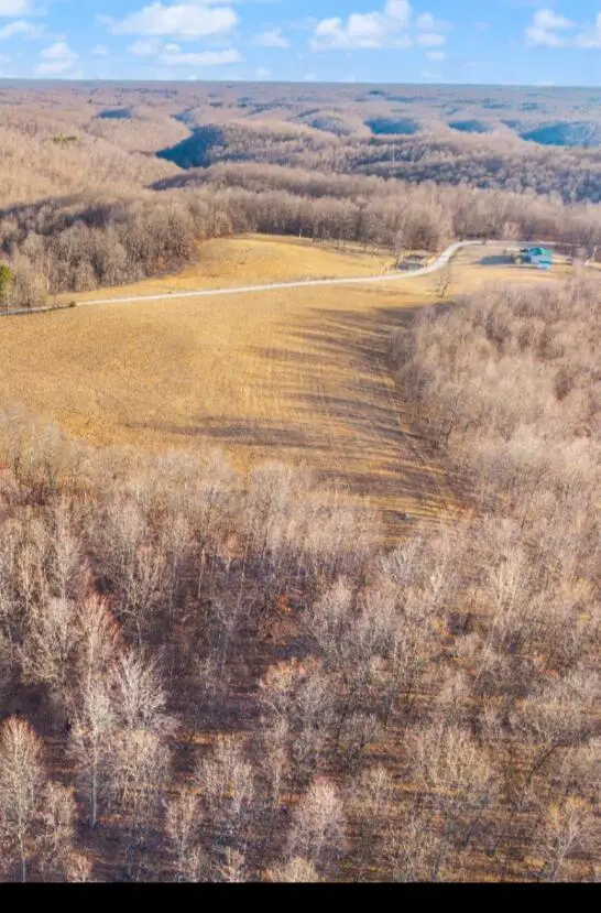 TBD Boone Ridge Road, Garrison, KY 41141 - #3