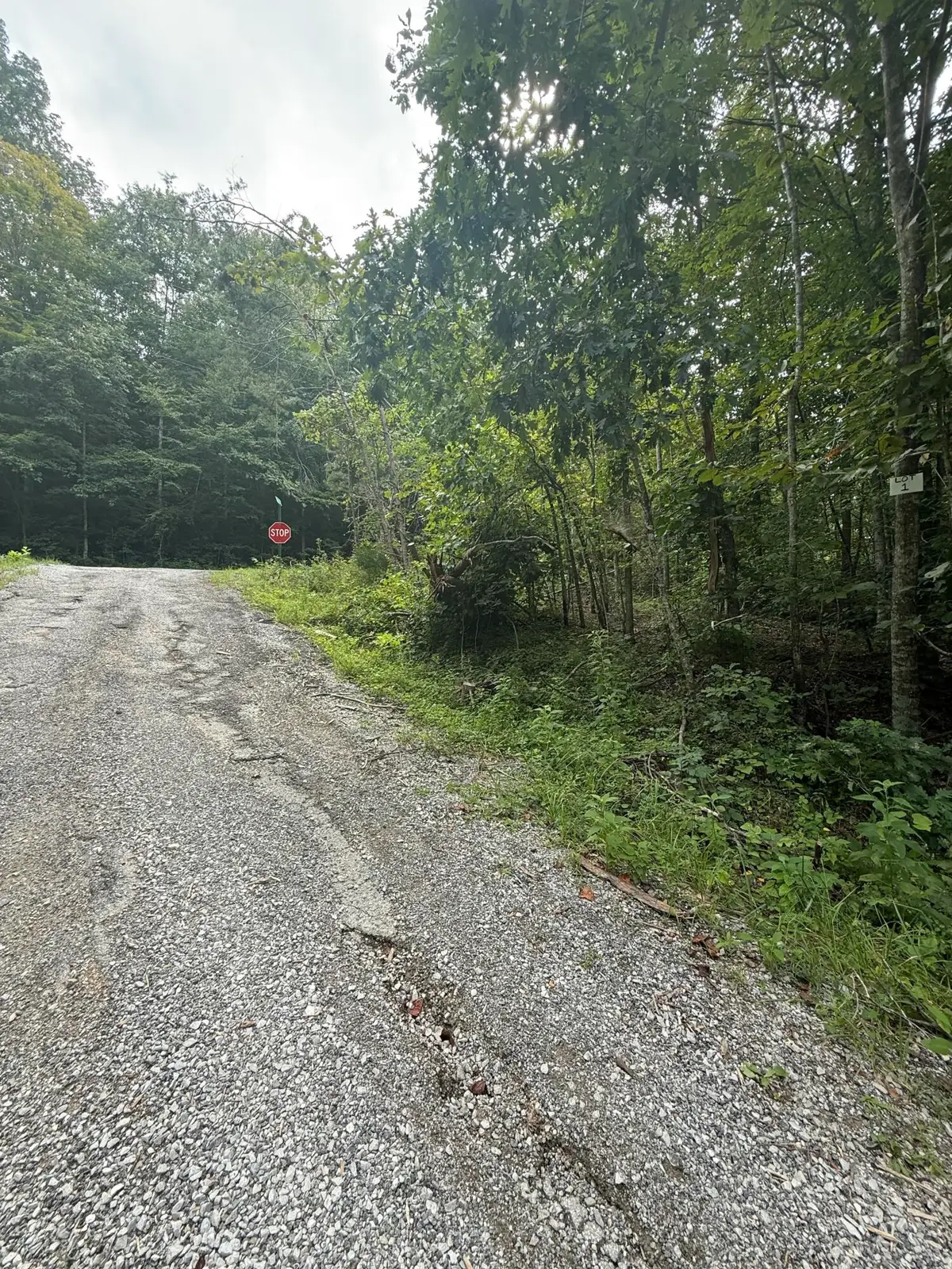 1 Buck Creek Circle, Somerset, KY 42501 - #1