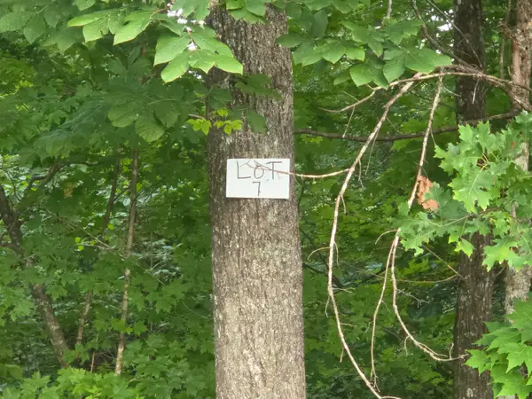 Lot #7 Buck Creek Circle, Somerset, KY 42501