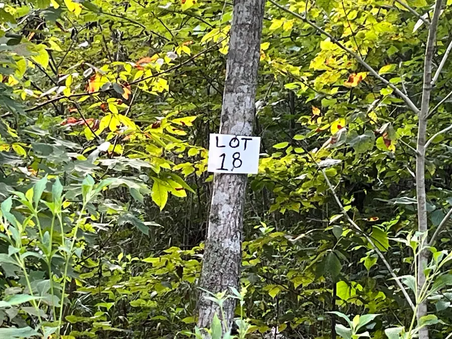 18 Buck Creek Circle, Somerset, KY 42501 - #2
