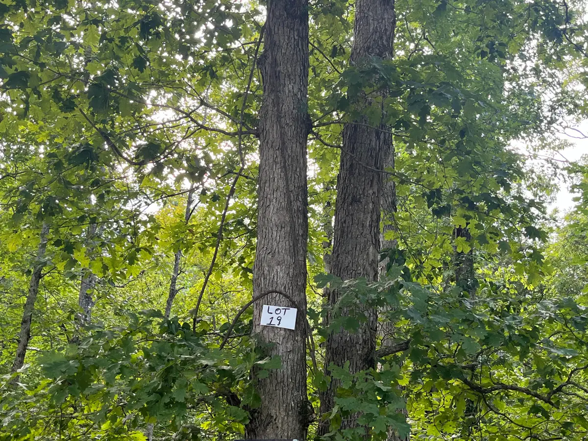 19 Buck Creek Circle, Somerset, KY 42501 - #1