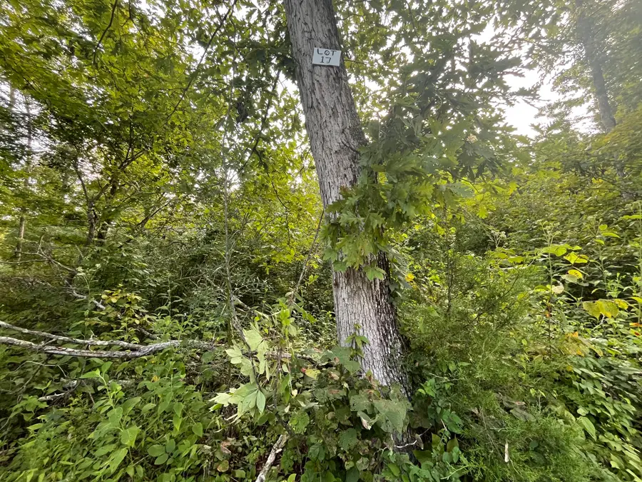 17 Buck Creek Circle, Somerset, KY 42501 - #2
