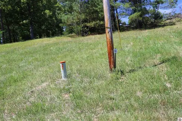 Lot 53 Doe Valley Drive, Benton, KY 42025