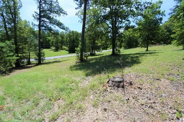 Lot 53 Doe Valley Drive, Benton, KY 42025 - #2