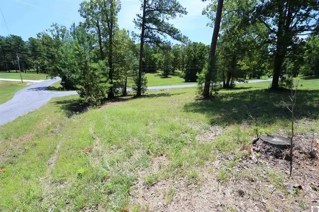 Lot 53 Doe Valley Drive, Benton, KY 42025 - #3