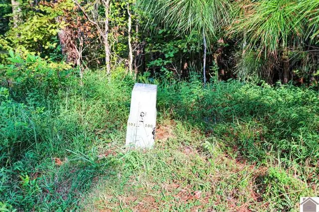 Lot 100 Western Drive, Murray, KY 42071 - #2