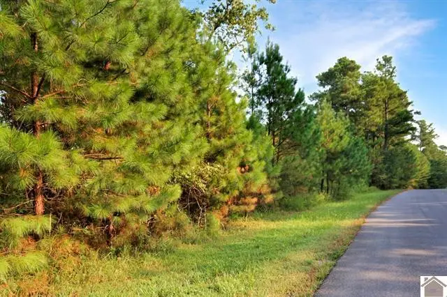 Lot 100 Western Drive, Murray, KY 42071 - #3