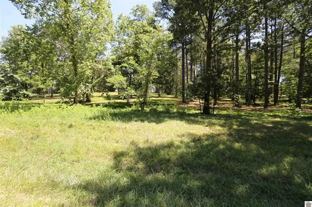 Lot 42 Pine View Drive, Benton, KY 42025 - #1