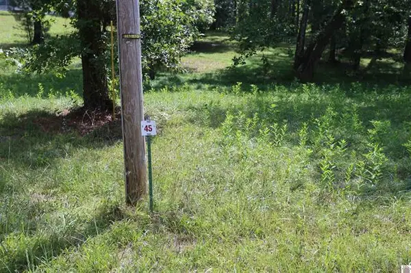 Lot 45 Doe Valley Drive, Benton, KY 42025