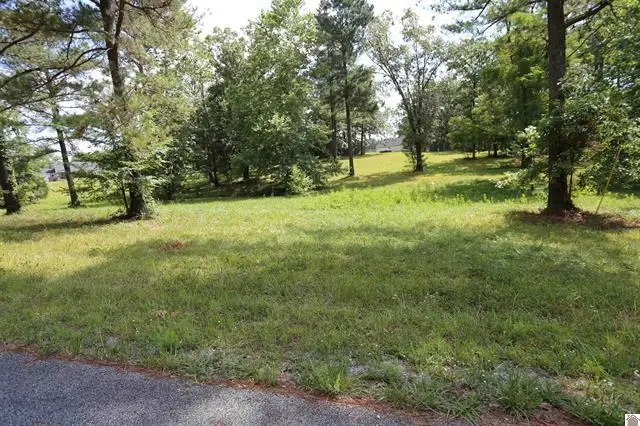 Lot 44 Doe Valley Drive, Benton, KY 42025 - #1