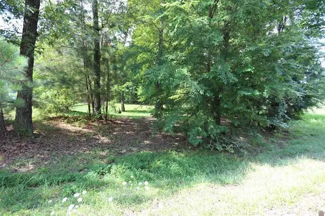Lot 41 Pine View Drive, Benton, KY 42025 - #3
