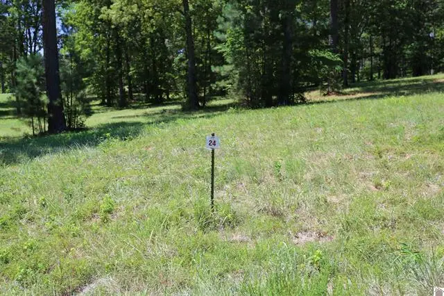Lot 24 Pine View Drive, Benton, KY 42025 - #1