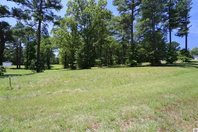 Lot 24 Pine View Drive, Benton, KY 42025 - #2