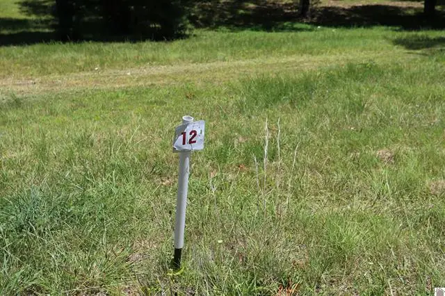 Lot 12 Pine View Drive, Benton, KY 42025 - #1