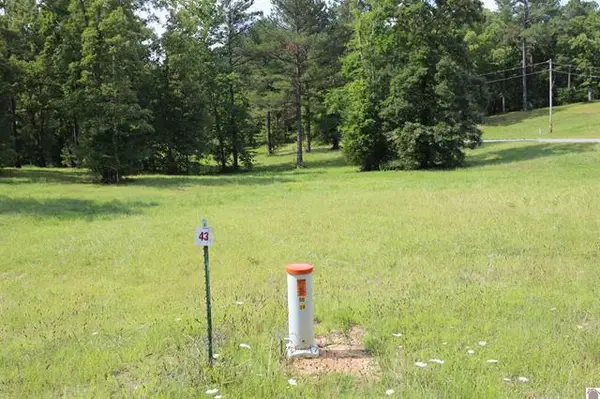 Lot 43 Pine View Drive, Benton, KY 42025