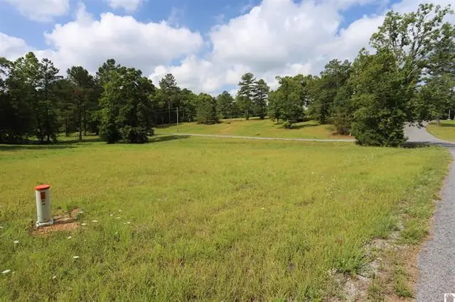 Lot 43 Pine View Drive, Benton, KY 42025 - #2