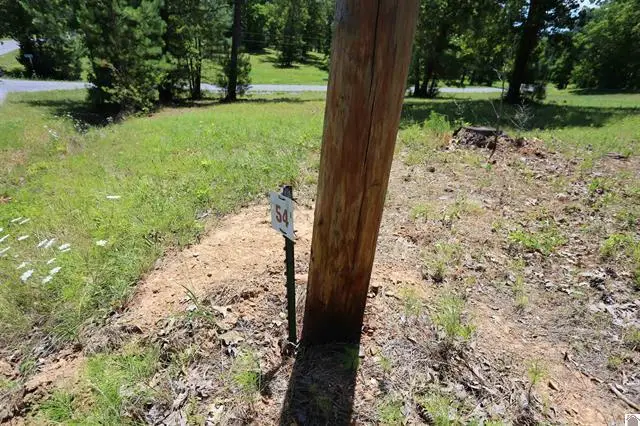 Lot 54 Pine View Drive, Benton, KY 42025 - #2