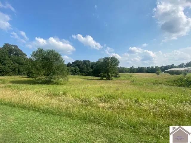 0 Slaughter Road, Benton, KY 42025 - #1
