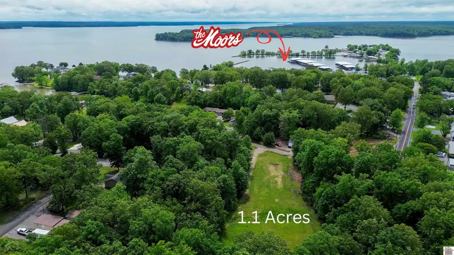 0 Cove Lane, Gilbertsville, KY 42044 - #2